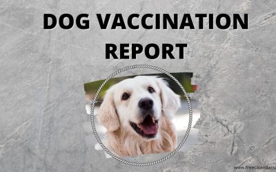 5+ Free Printable Dog Vaccination Report Templates